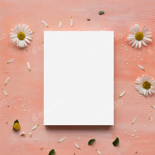 Preview: Blank canvas frame.