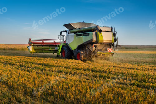 Preview: combine harvester behind with a cloud of dust and stubble in light of warm rays