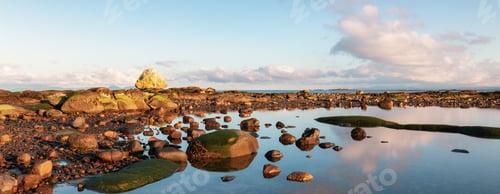 Preview: Rocky Shore on the Ocean Coast. Canadian Nature Background.