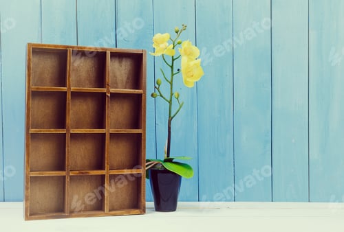 Preview: Wooden display box and orchid flower against a blue wooden background in a bright setting