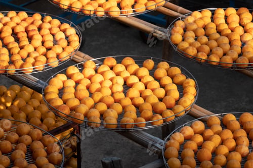 Preview: Dried Up Persimmon Under The Sun In Xinpu Township, Hsinchu, Taiwan