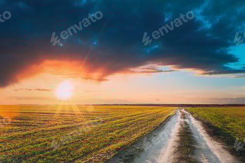 Preview: Green Barley Field In Early Spring. Countryside road through field and sunshine sunset sunrise light