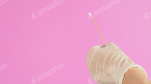 Preview: Cotton stick in hand with white latex glove on pink background.