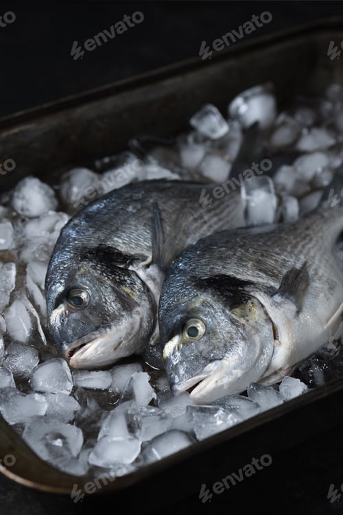 Preview: Fresh raw dorado fish on ice