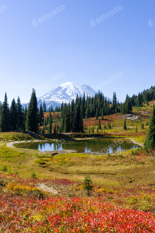 Preview: Fall foliage blankets the rolling hills of a lush meadow, with the majestic peaks