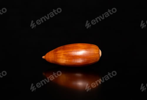 Preview: Close-up with a cork oak seed on a black background.