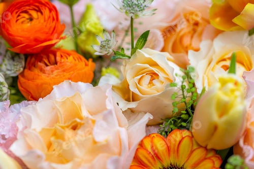 Preview: Set of flower box with different flower