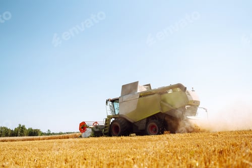 Preview: Modern industrial combine harvester harvests wheat cereals on a summer day. Rich harvest concept.