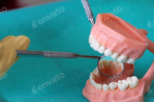 Preview: Closeup of a dentist practicing on a model of prosthetic teeth with dental tools