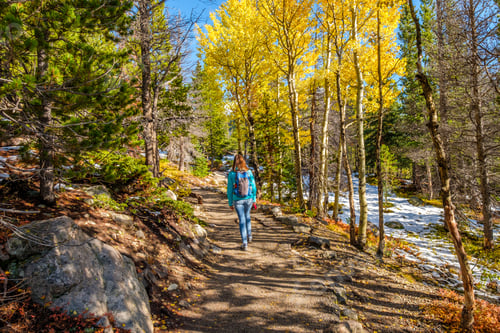 Preview: Tourist hiking in aspen grove at autumn