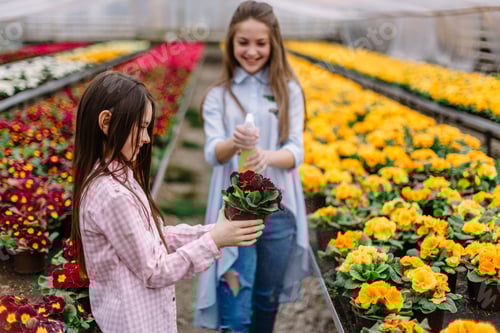 Preview: Girls watering flowers in the garden