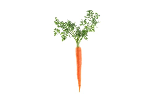 Preview: Ripe fresh carrot isolated on white background