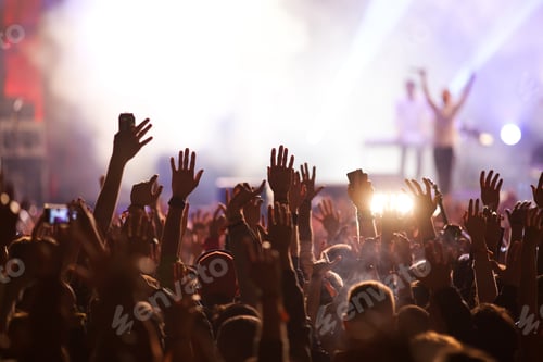 Preview: crowd at concert - summer music festival