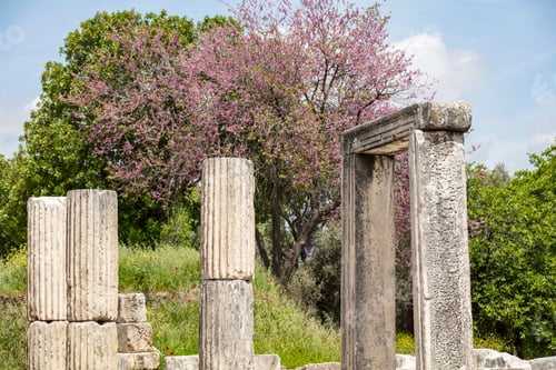 Preview: Ruins of the ancient sanctuary Lagina, Turkey