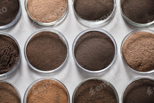 Preview: Petri dishes with soil samples on grey table, flat lay. Laboratory research
