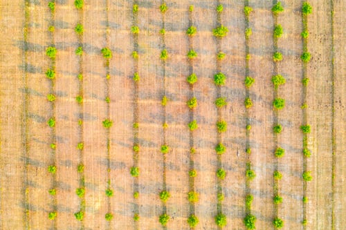 Preview: Aerial photography,