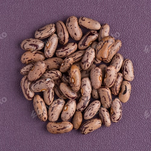 Preview: Circle of pinto beans