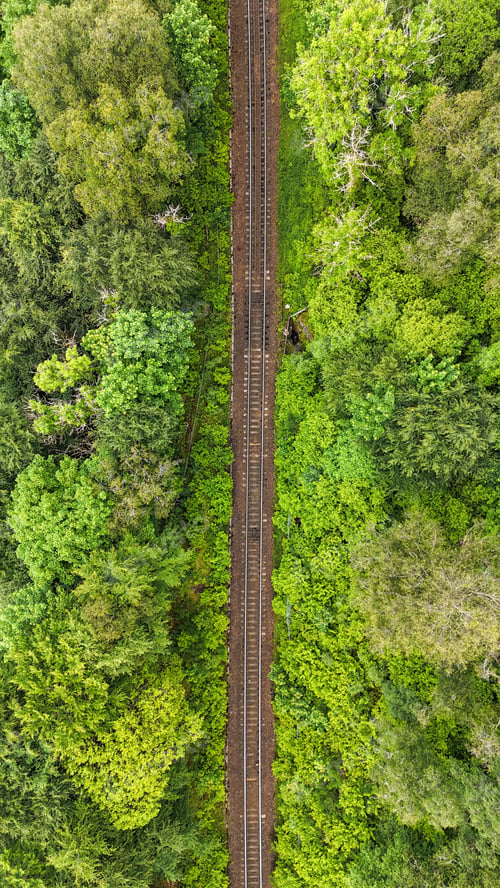 Preview: Aerial railway through lush forest