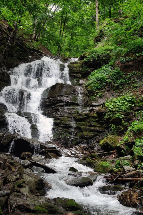 Preview: Forest waterfall and rocks