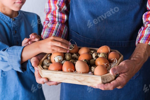Preview: Senior farmer man holding in hands fresh organic eggs