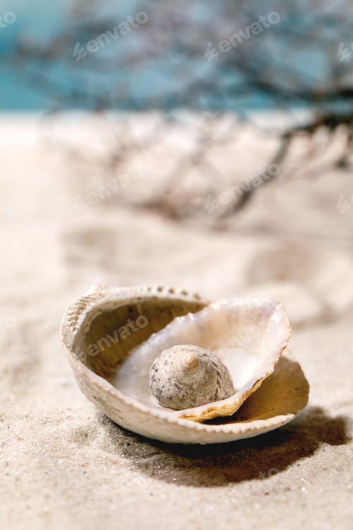 Preview: Summer sand sea beach with waves and seashell