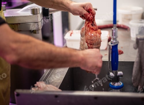 Preview: Closeup of Butcher's Hands Washing Excess Blood and Meat off Stuffed Chicken in Sink
