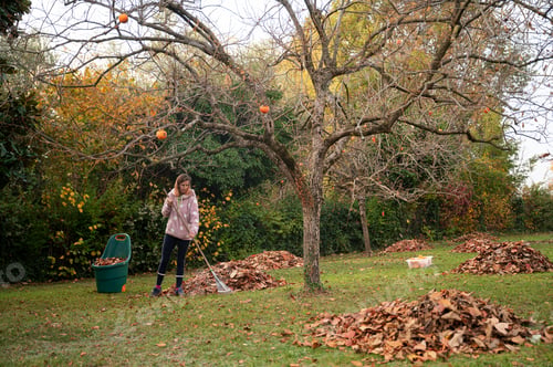 Preview: Woman raking autumn leaves