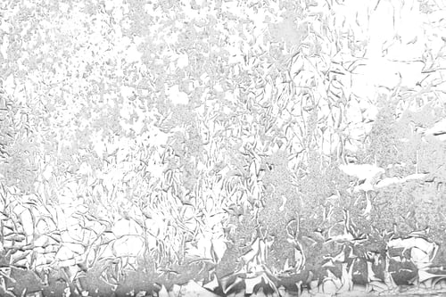 Preview: Damaged paint splatter contrast black and white background