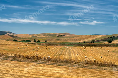 Preview: Rural landscape in Apulia at summer
