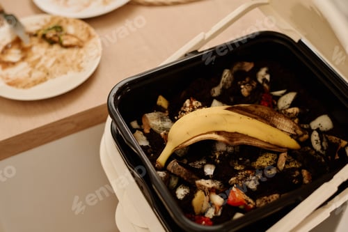 Preview: Banana peel on top of organic leftovers