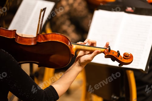 Preview: Hand on the strings of a violin