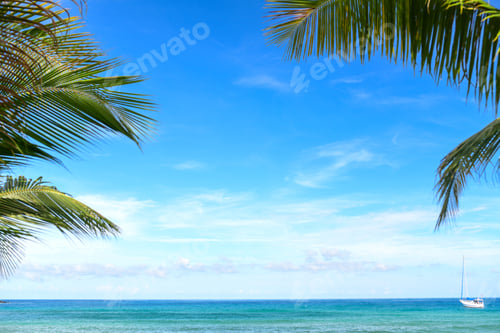 Preview: Coconut trees and tropical beach for the background.