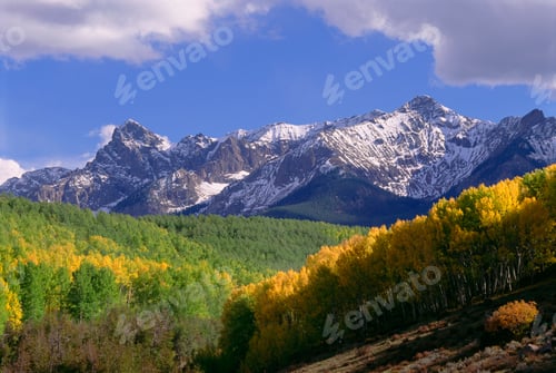 Preview: Mount Sneffels in the San Juan Mountains, in Ouray County. Aspen trees in autumn.