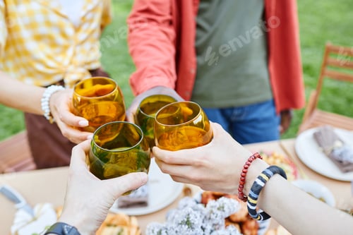 Preview: Clinking Glasses During Outdoor Gathering Celebration