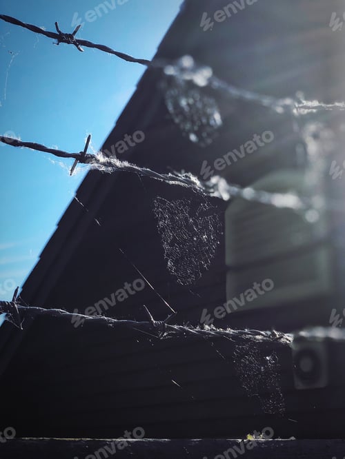 Preview: A barrier