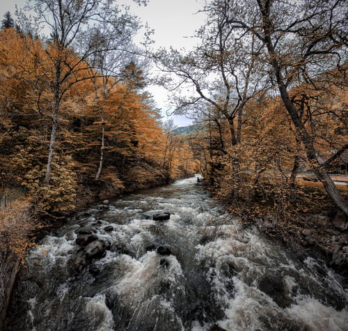 Preview: Mountain river in autumn season. Beauty in nature.