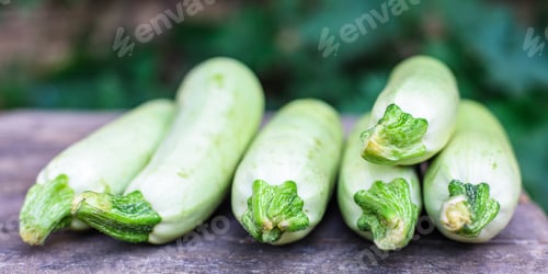Preview: Zucchini Fruits Fresh Harvest Food Background Top View Copy Space Organic Eating Healthy Raw Keto