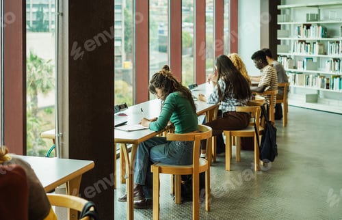 Preview: Young group of people studying inside college university library