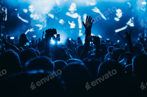 Preview: Concert crowd on a music concert