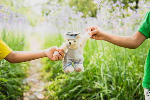 Preview: Vibrant outdoor photo of teddy bear sitting on the yard at the park