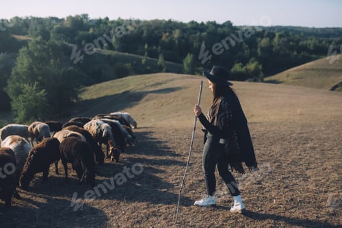 Preview: Female shepherd and flock of sheep at a lawn