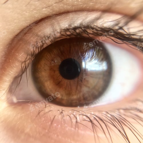 Preview: Human eye