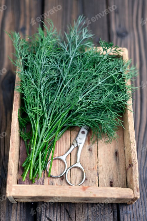 Preview: Fresh dill bunch with scissors in wooden crate