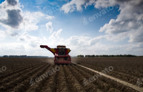 Preview: potato harvester