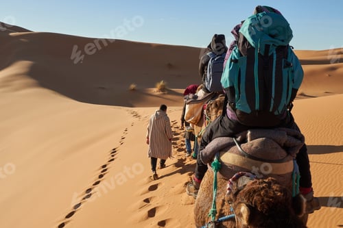 Preview: Camels and people going in desert
