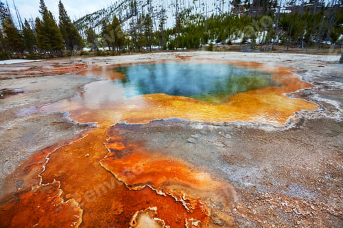 Preview: Yellowstone