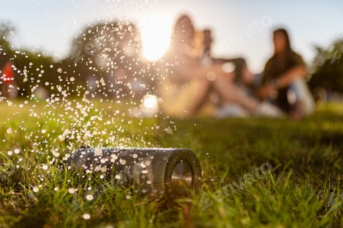 Preview: wireless waterproof speaker of friends having fun together in park listening to music