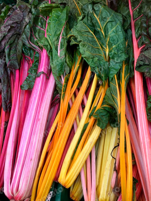 Preview: Chard