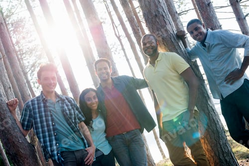 Preview: Lakeside. A group of people, friends gathered in the shade of pine trees in summer.