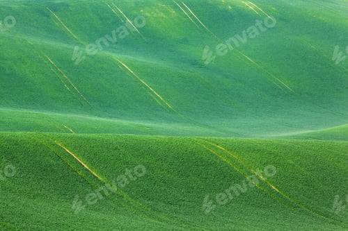 Preview: Minimalistic landscape with green fields, rolling hills at sunri